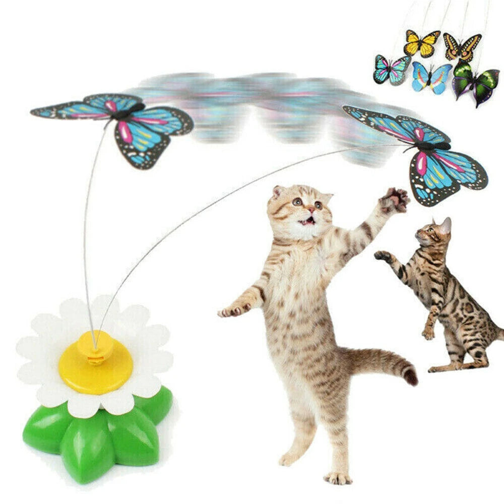 Colorful Interactive Cat Toy Befez