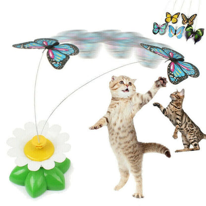 Colorful Interactive Cat Toy Befez
