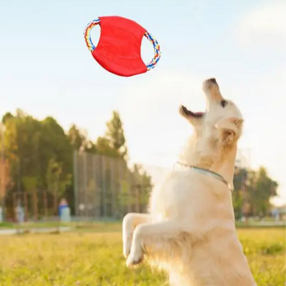 Durable Rubber Dog Chew Toy - Befez
