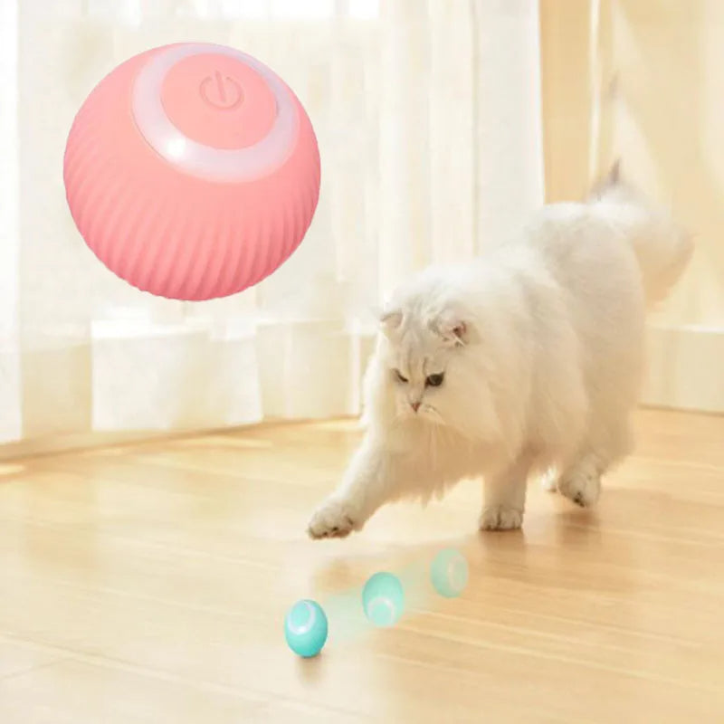 Fun Pet Cat Play Ball Toy