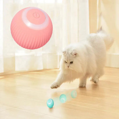 Fun Pet Cat Play Ball Toy