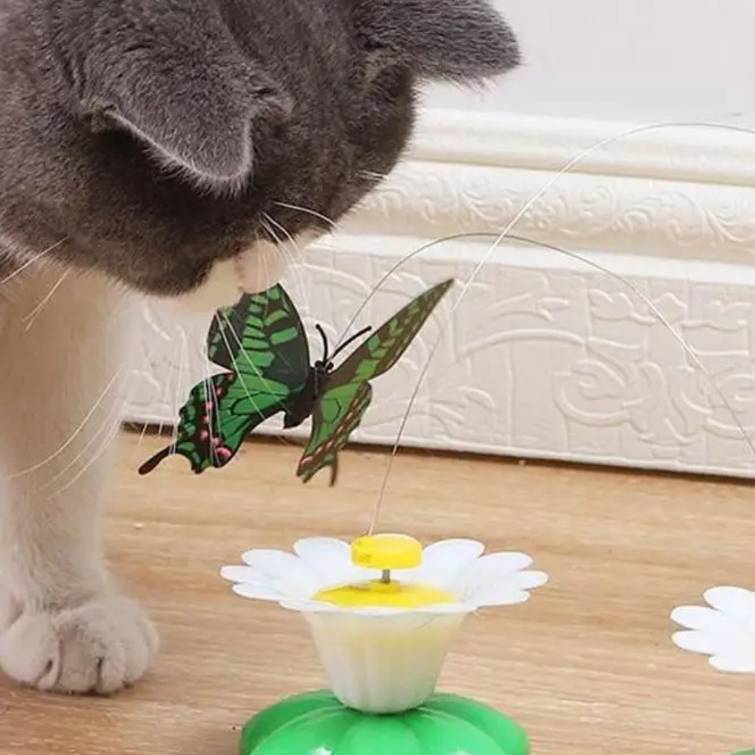 Colorful Interactive Cat Toy Befez - Befez