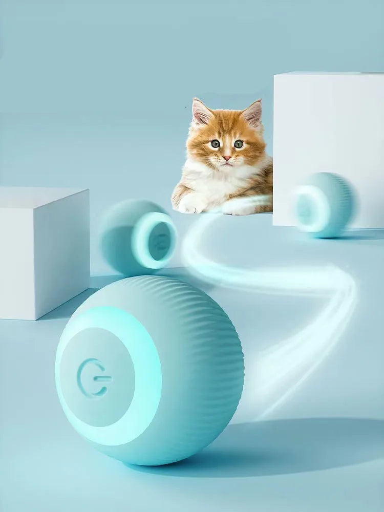 Fun Pet Cat Play Ball Toy - Befez