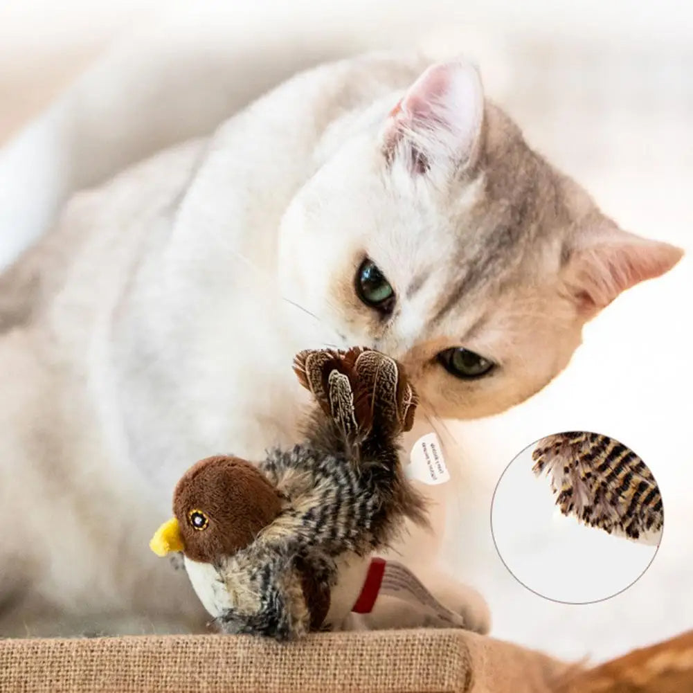 Fun Interactive Cat Bird Toy