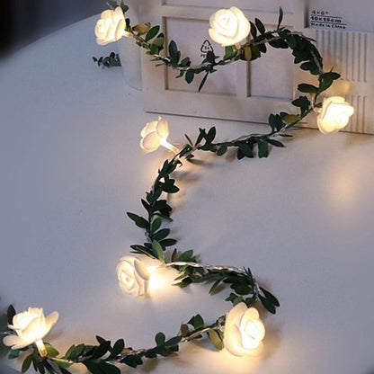 Colorful LED Flower Lights - Befez
