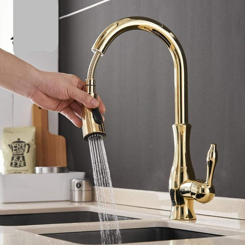 Premium Pull-Out Kitchen Sink Faucets