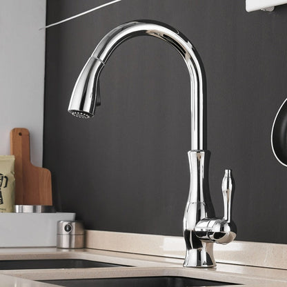 Premium Pull-Out Kitchen Sink Faucets