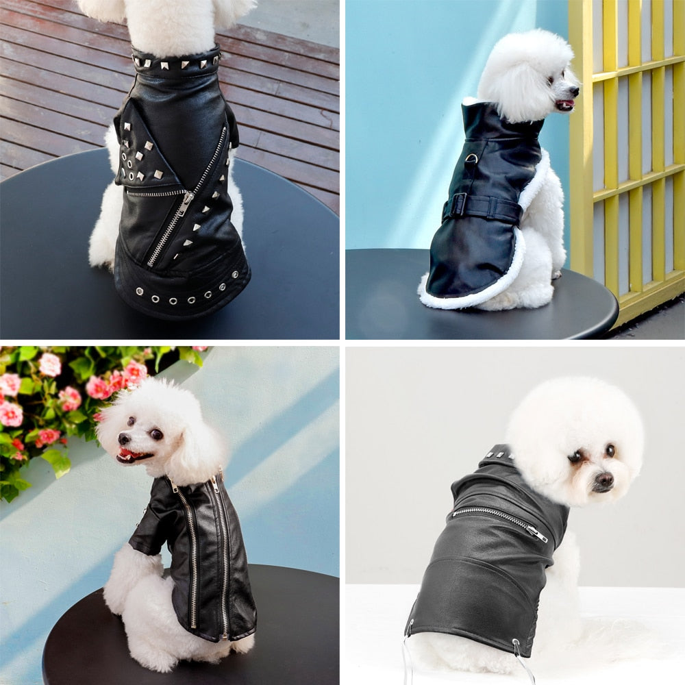 Stylish Faux Leather Dog Coat - Befez