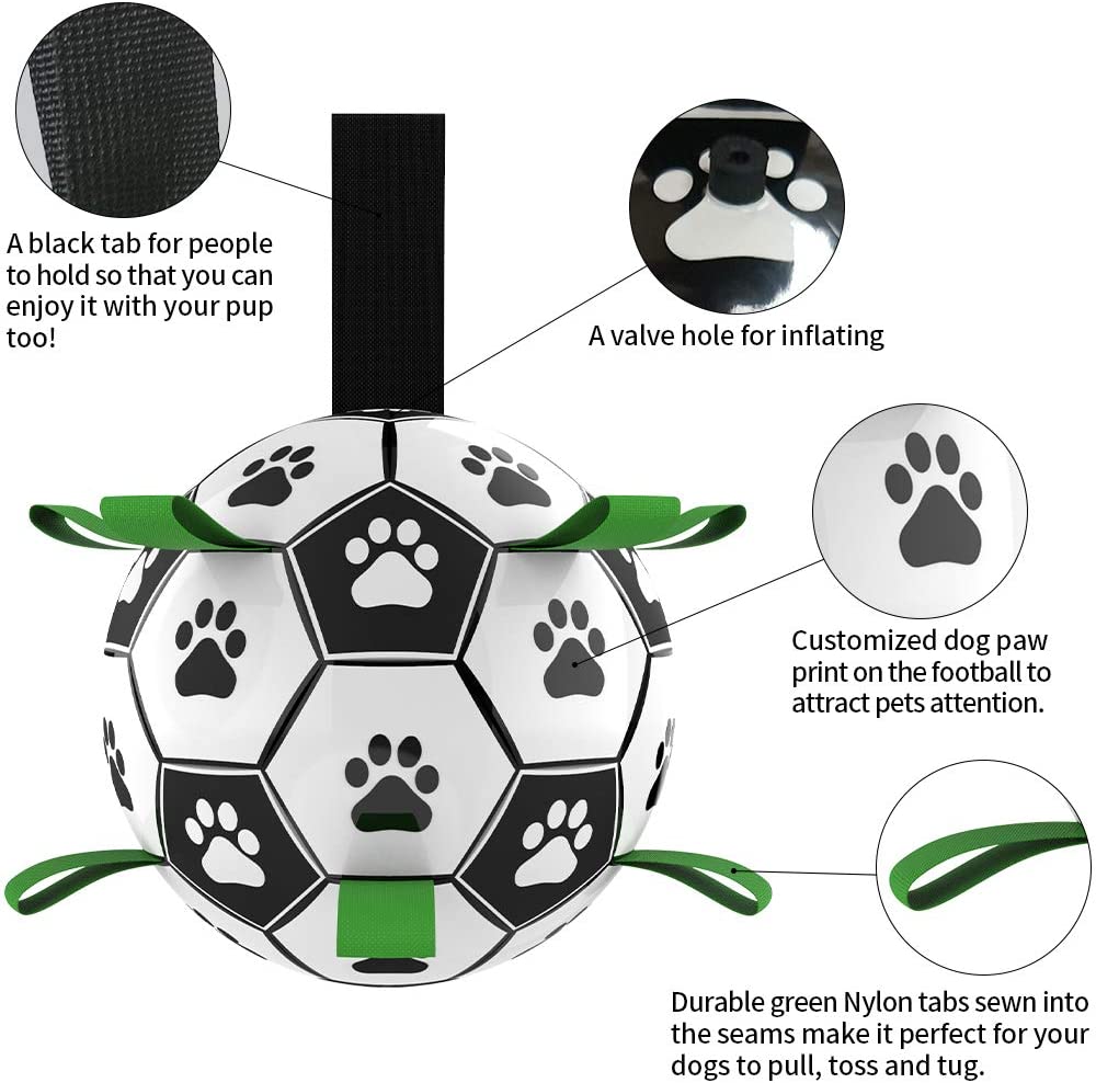 Fun Pet Training Bouncing Ball