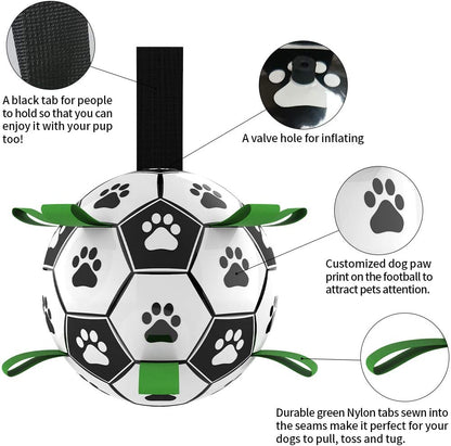 Fun Pet Training Bouncing Ball