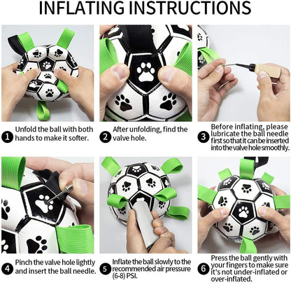 Fun Pet Training Bouncing Ball