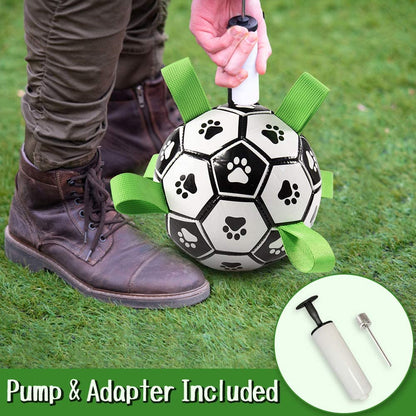 Fun Pet Training Bouncing Ball