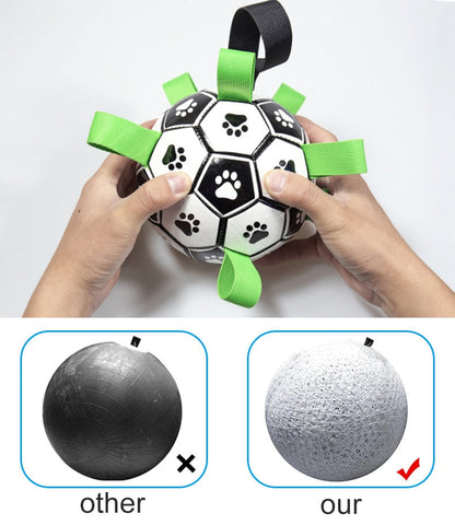 Fun Pet Training Bouncing Ball