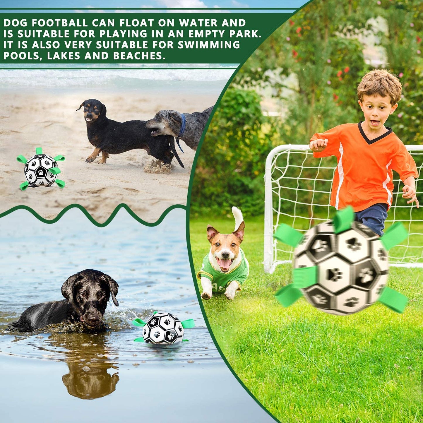Fun Pet Training Bouncing Ball