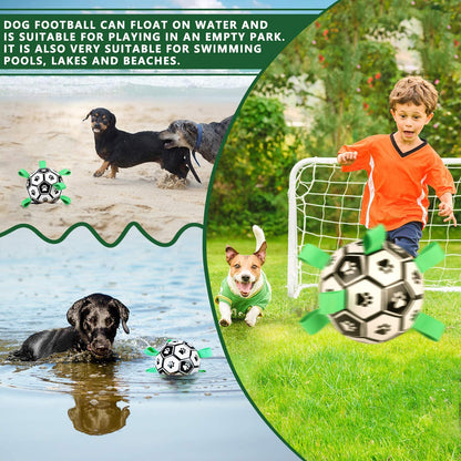 Fun Pet Training Bouncing Ball