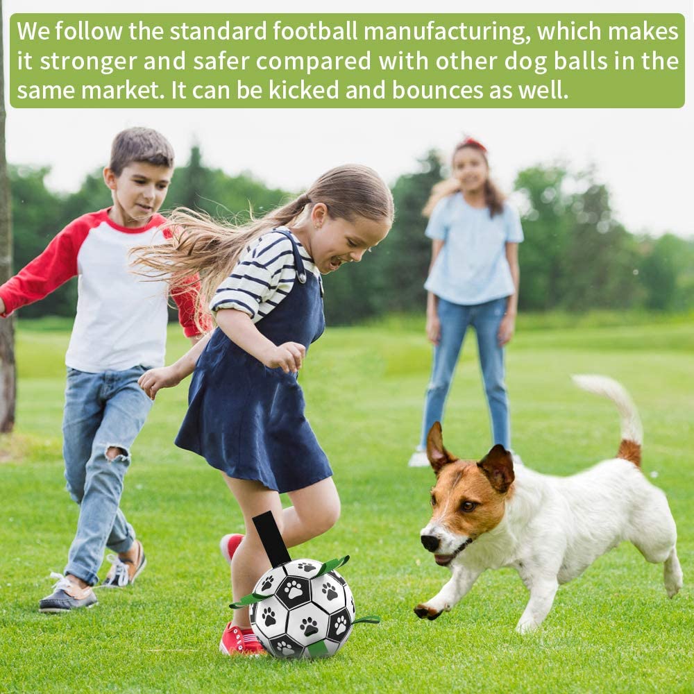 Fun Pet Training Bouncing Ball