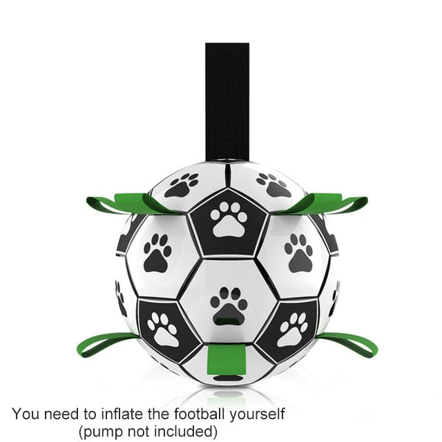 Fun Pet Training Bouncing Ball