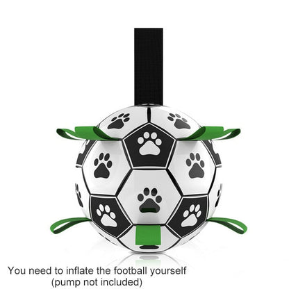 Fun Pet Training Bouncing Ball