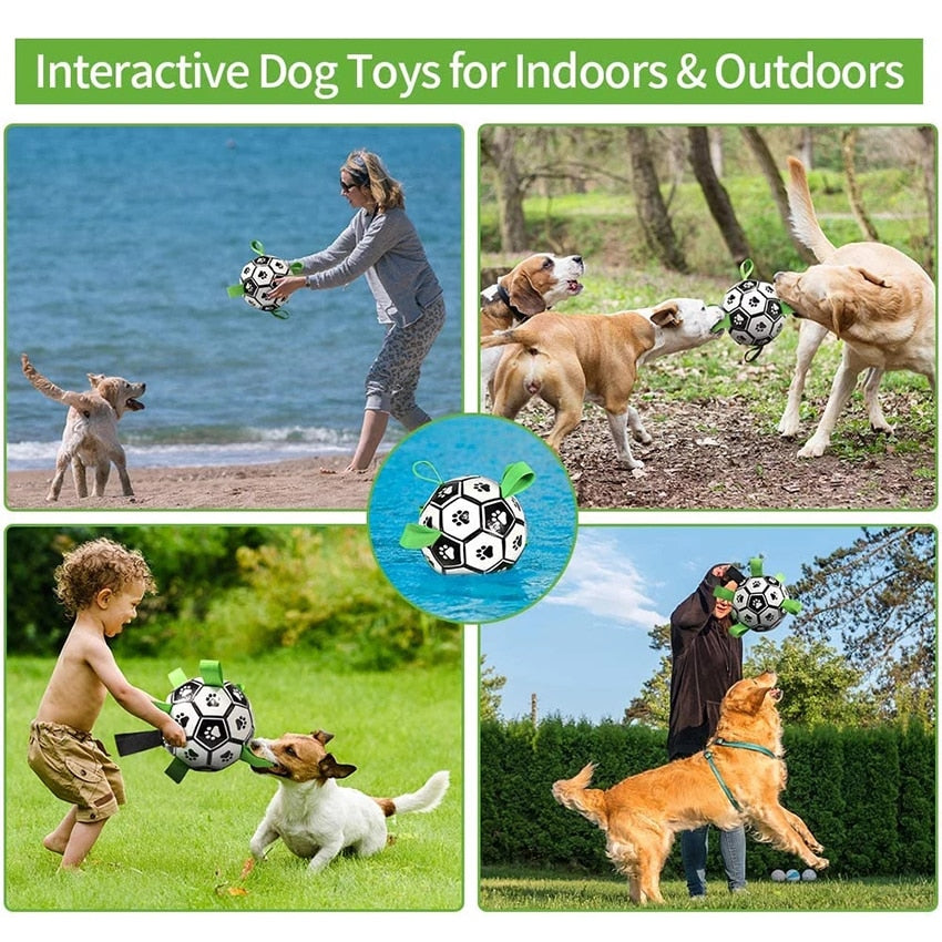 Fun Pet Training Bouncing Ball