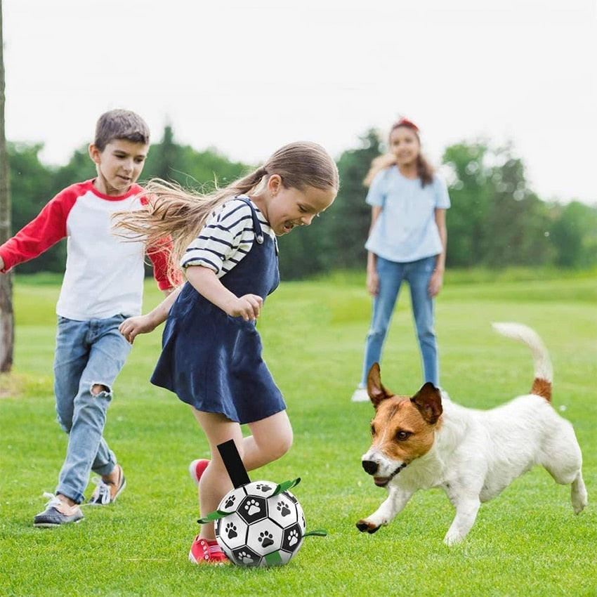 Fun Pet Training Bouncing Ball
