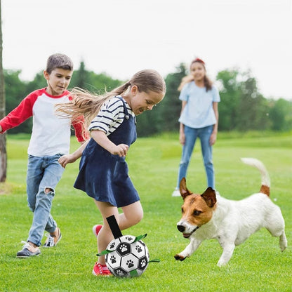 Fun Pet Training Bouncing Ball
