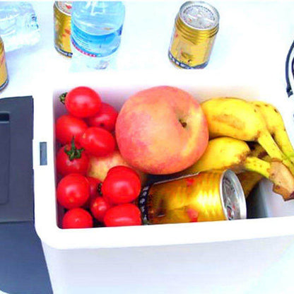 Portable Compact Electric Camping Cooler Box