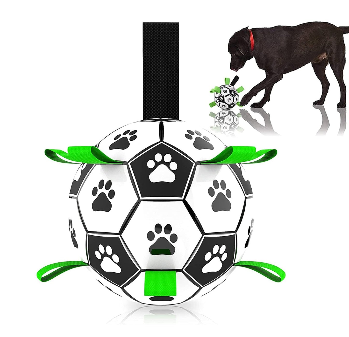 Fun Pet Training Bouncing Ball