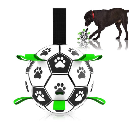 Fun Pet Training Bouncing Ball