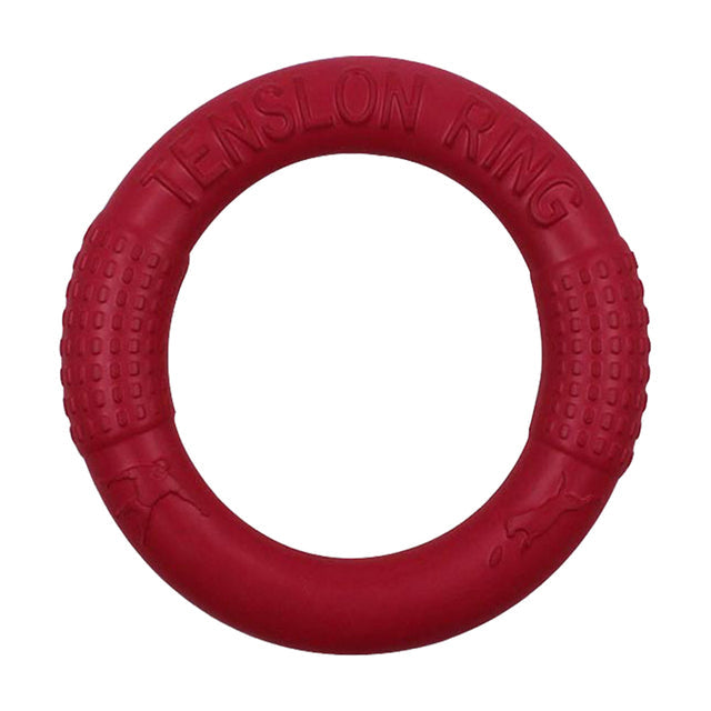 Fun Pet Flying Disk Toy - Befez