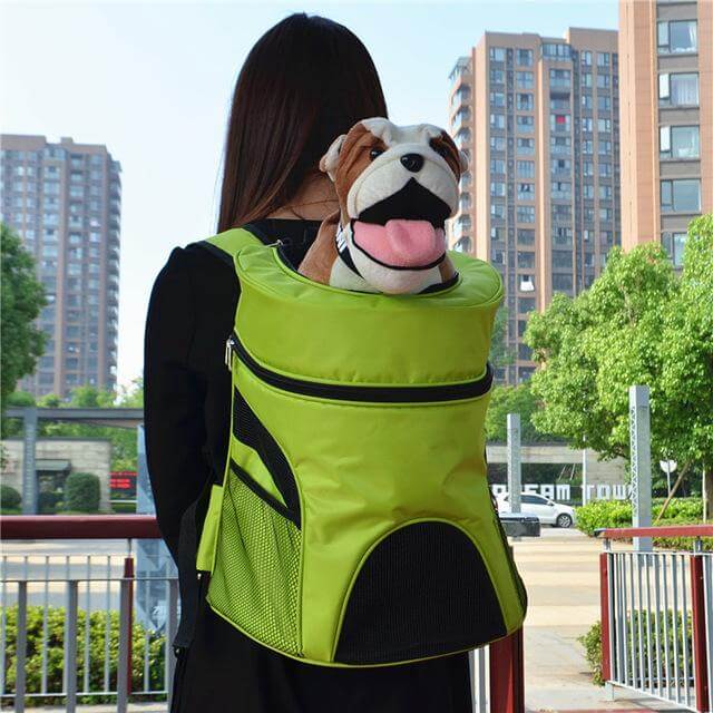Compact Lightweight Pet Travel Bag - Befez