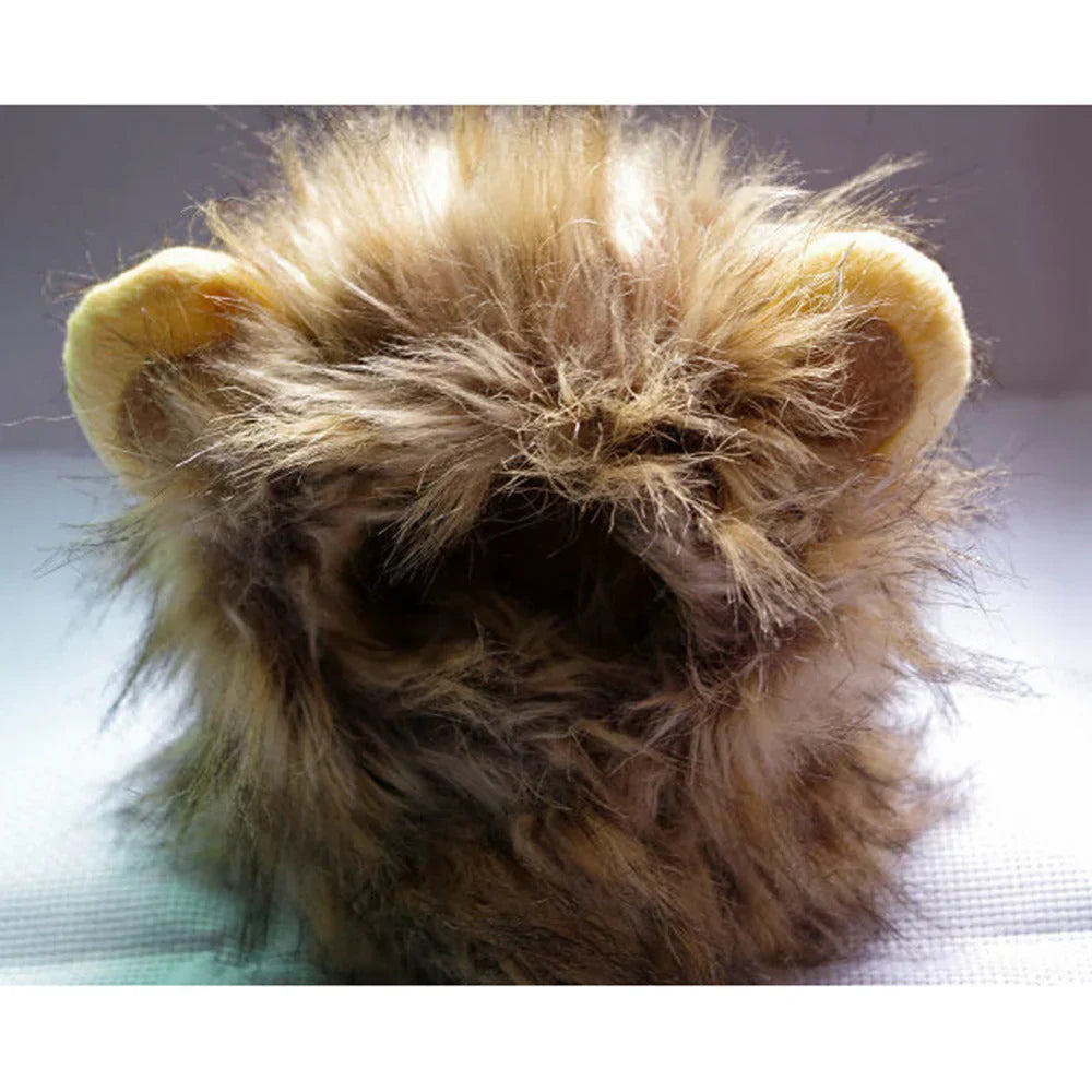 Premium Cat Wig - Deluxe Furry Pet Costume