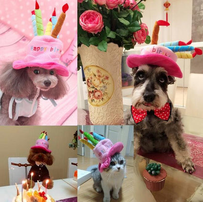 Fun Dog Birthday Party Hat