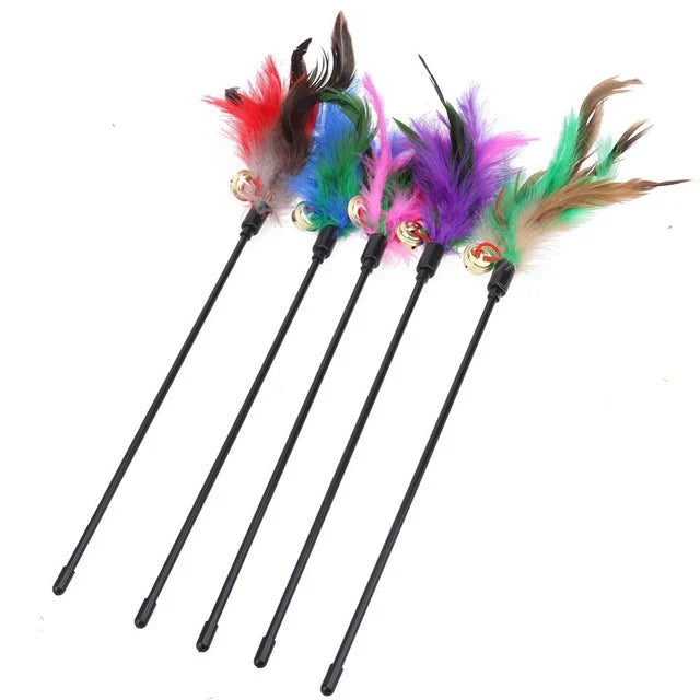 Fun Cat Feather Teasers (5-Pack)