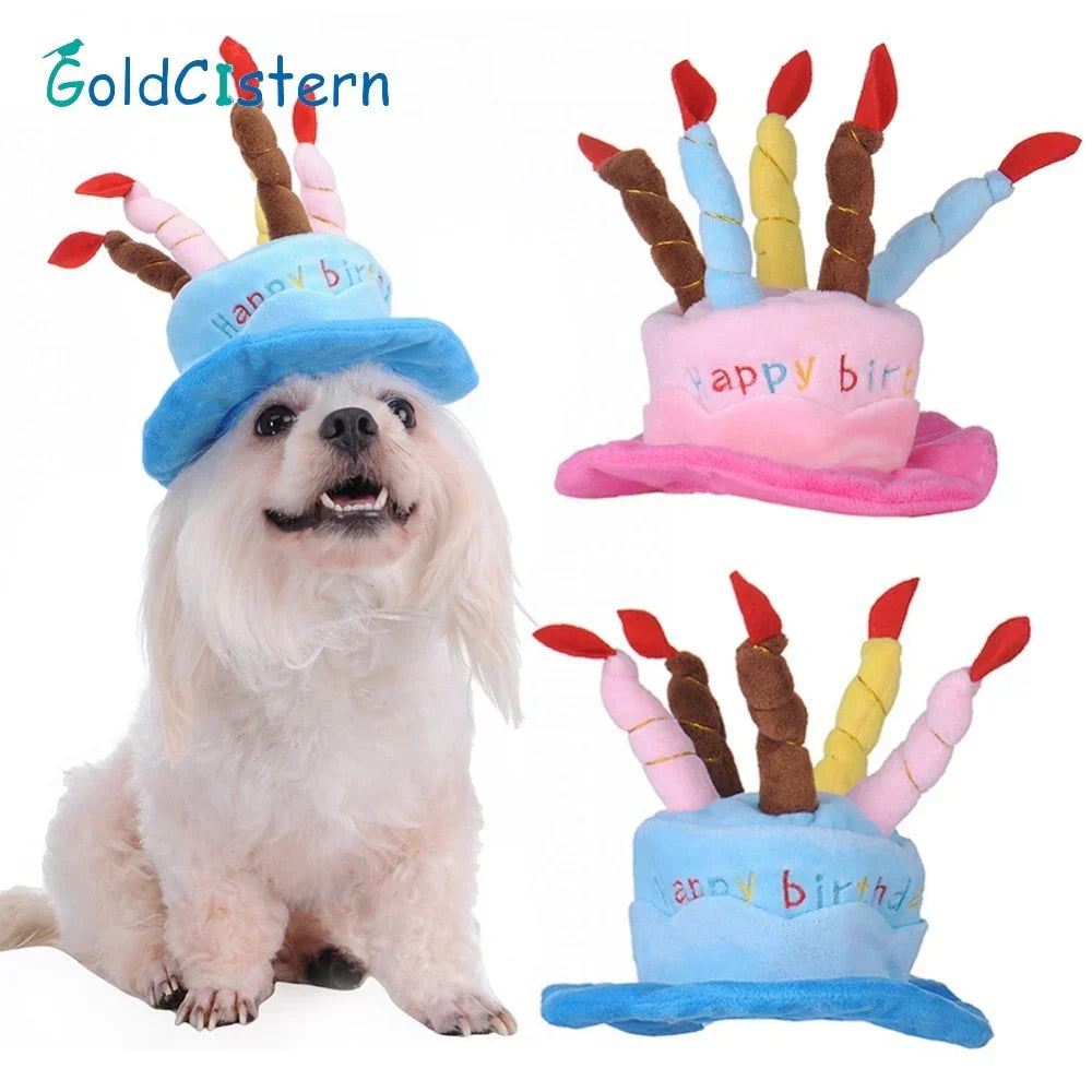 Fun Dog Birthday Party Hat