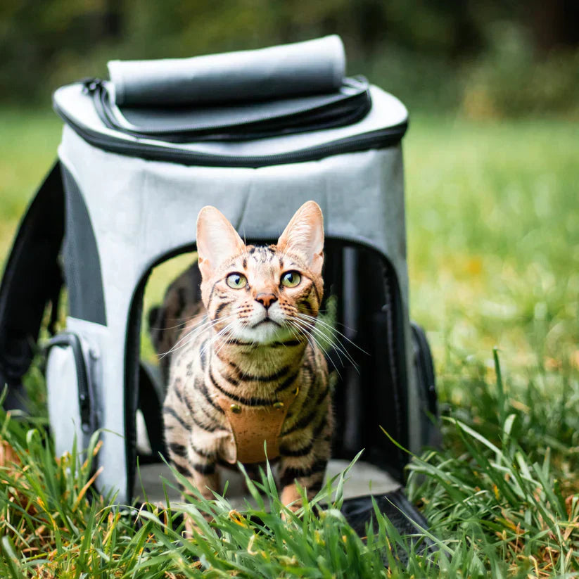 Comfy Cat Carrier Backpack