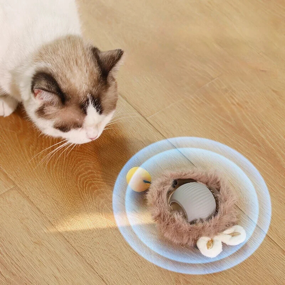 Fun Interactive Cat Toy Ball