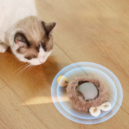 Fun Interactive Cat Toy Ball