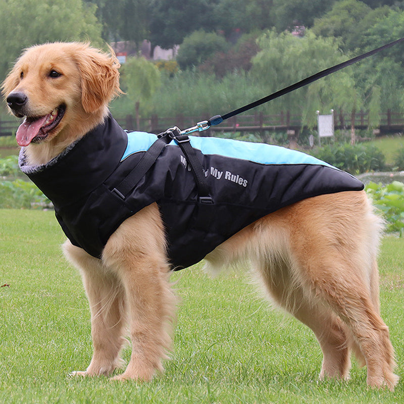 Visible Pet Vest with Leash - Glow Dog Coat - Befez