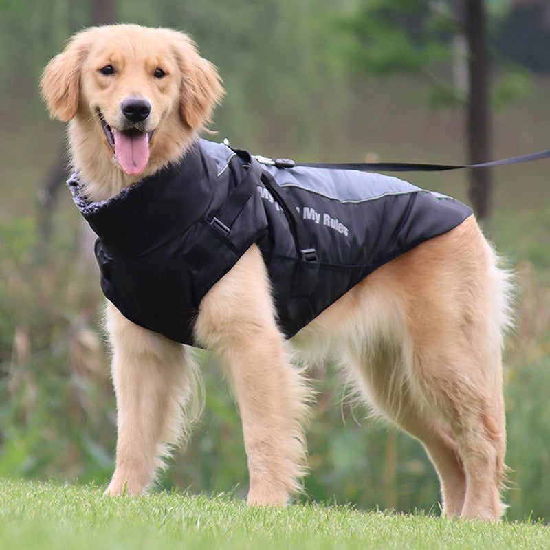 Visible Pet Vest with Leash - Glow Dog Coat