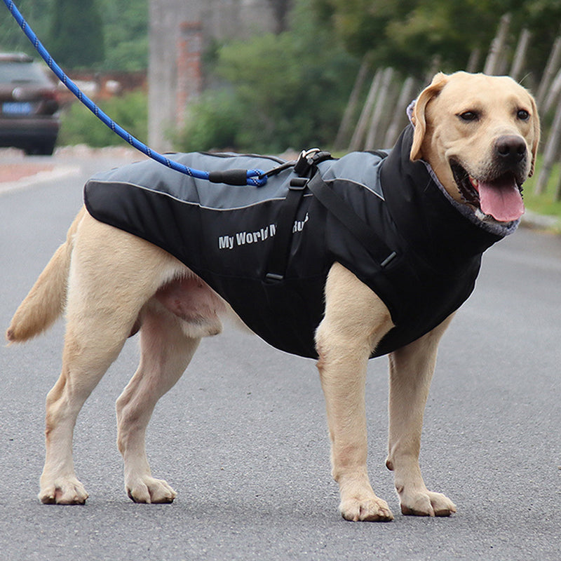 Visible Pet Vest with Leash - Glow Dog Coat