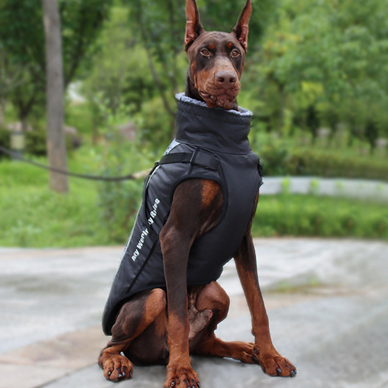Visible Pet Vest with Leash - Glow Dog Coat