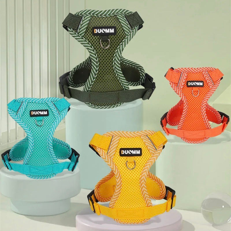 Visible Dog Harness and Leash Set for Small Pets - Befez
