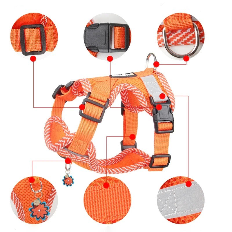 Visible Dog Harness and Leash Set for Small Pets
