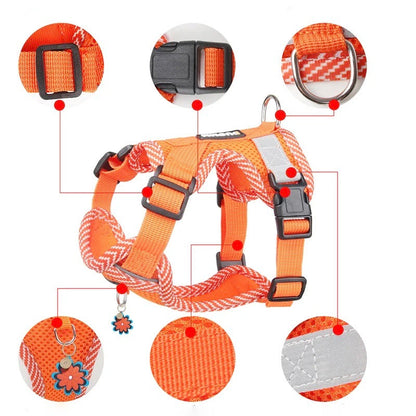 Visible Dog Harness and Leash Set for Small Pets