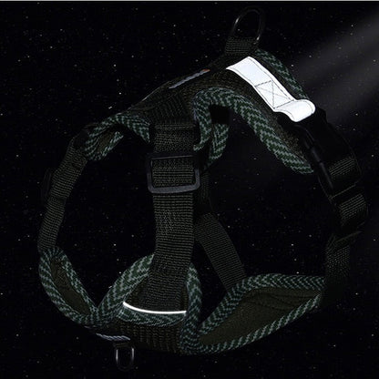 Visible Dog Harness and Leash Set for Small Pets