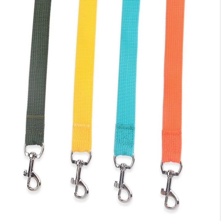 Visible Dog Harness and Leash Set for Small Pets