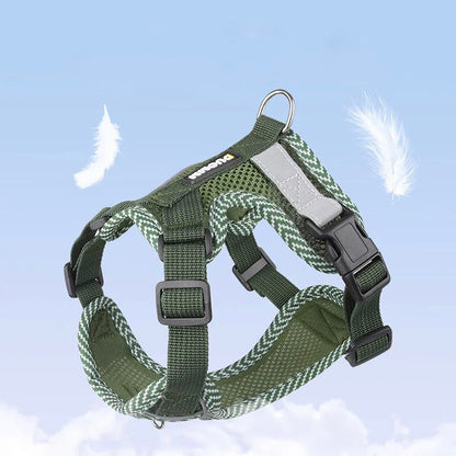 Visible Dog Harness and Leash Set for Small Pets