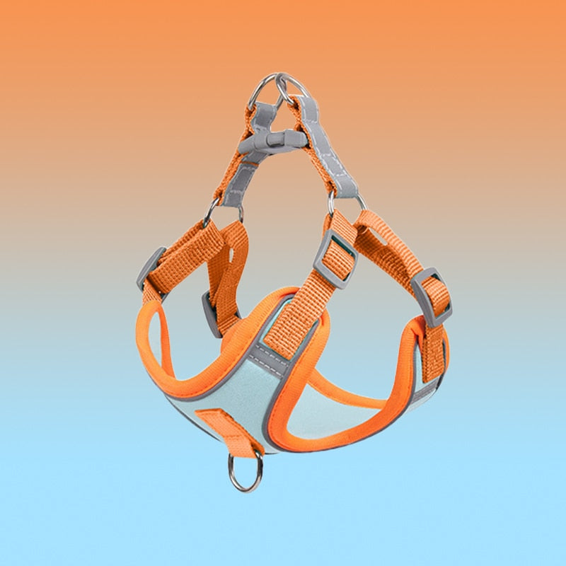 Visible Dog Vest Harness