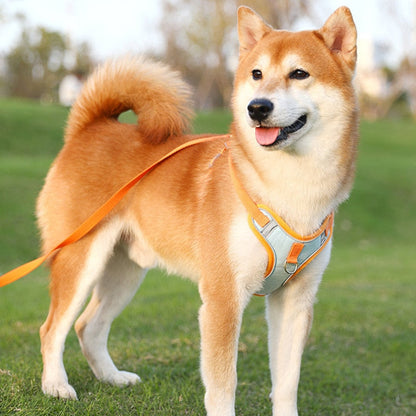 Visible Dog Vest Harness