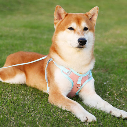 Visible Dog Vest Harness